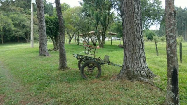 Fazenda para venda em balsa nova, são luiz do puruna 800 m do pedagio, 2 dormitórios, 2 ba - Foto 7