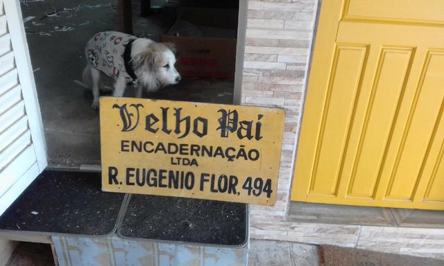 Atelier de encadernação Completa p/ retirar - Foto 6