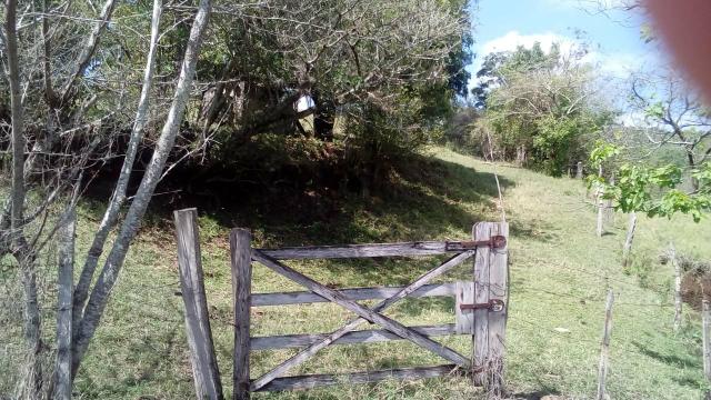Sítio a venda - Foto 19