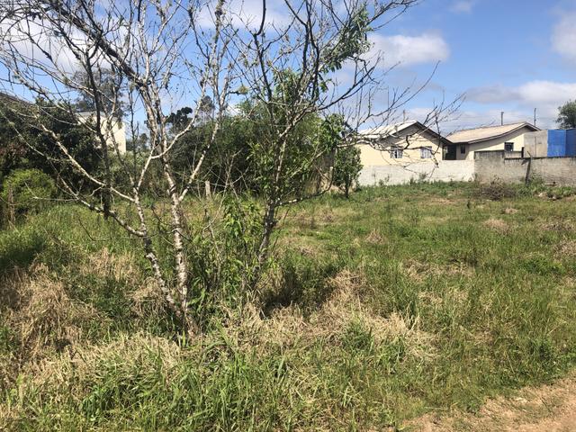 Terreno na Colônia Murici próximo ao Caminho do Vinho - SÃO JOSÉ DOS PINHAIS - Foto 2