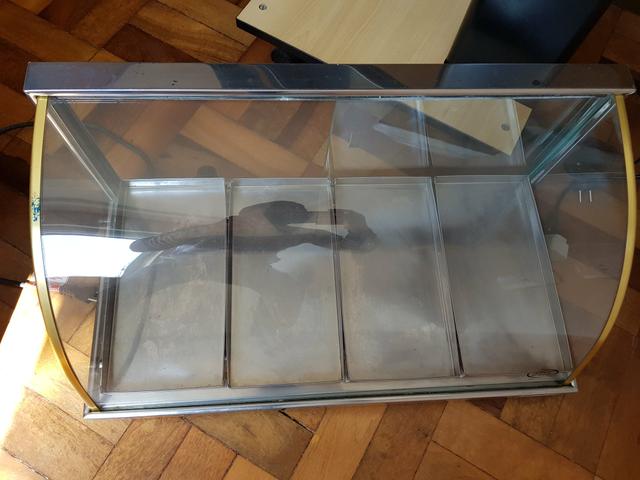 Exibidor de 4 bandejas 110V novo