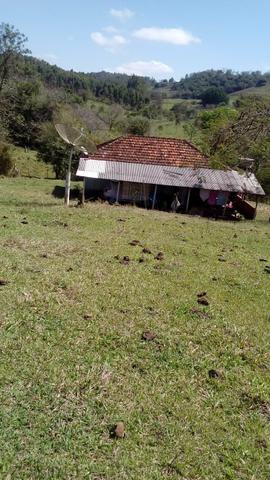 Sítio a venda - Foto 17