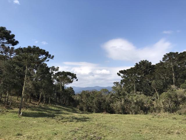 Terreno Urubici - Foto 2