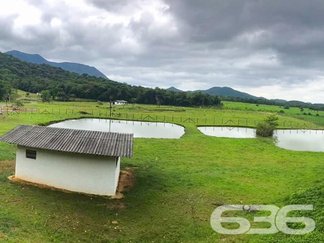 Chácara à venda com 3 dormitórios em Vila nova, Joinville cod:01028884 - Foto 10