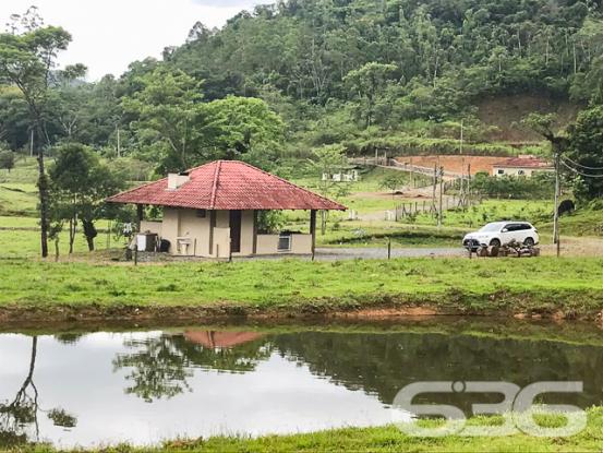 Chácara à venda com 3 dormitórios em Vila nova, Joinville cod:01028884 - Foto 2