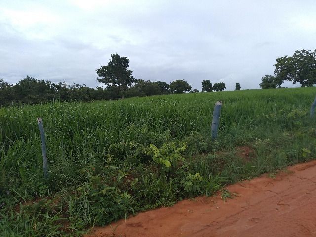 Oportunidade Entrada R$ 1.200.000,00 restante em 05 anos sem juros - planta 300 hectares - Foto 8