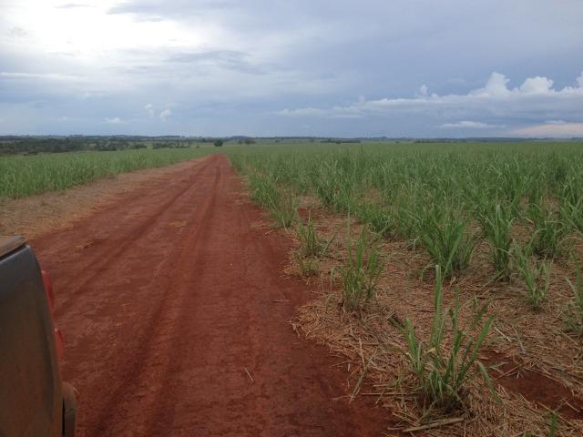 Fazenda 3.533 há - Foto 18