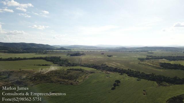 Fazenda em Padre Bernardo! - Foto 7
