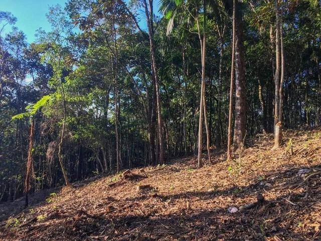 Sitio Caldas da Imperatriz - Foto 7