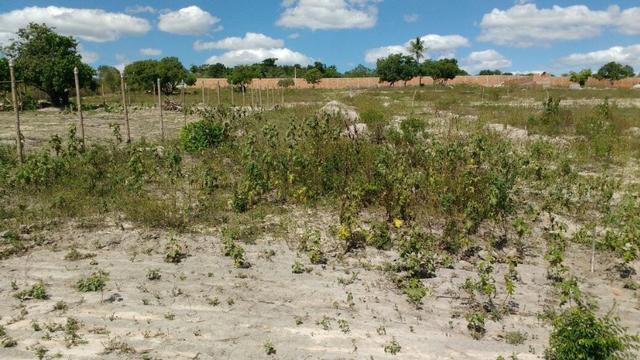 Lotes / Terrenos - Em várias localidades