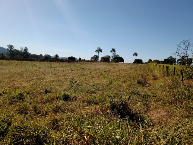 Sitio à venda, Rural, São Sebastião do Paraíso, MG - Foto 4