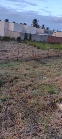 Terrenos Comerciais  no Francês - Foto 5