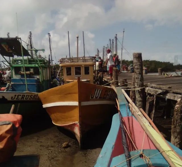 Barco para Pesca - Foto 2