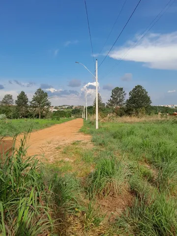 Setor h norte taguatinga  +14 anúncios na OLX Brasil