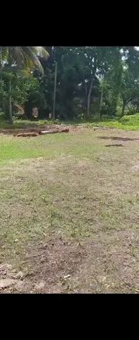 Foto - Paulista - Artur Lundgren I