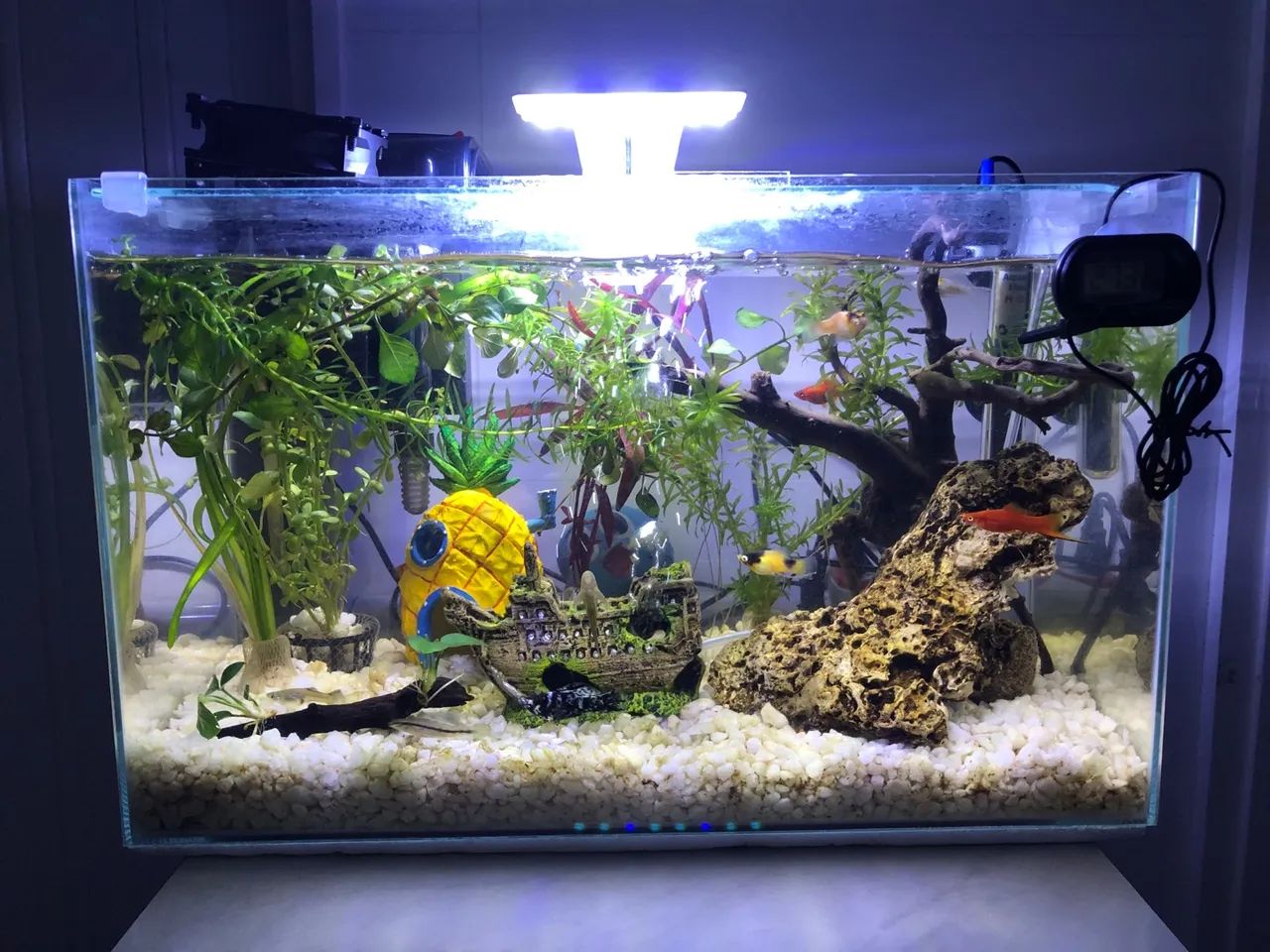 Aquário de 26 litros em ótimo estado - Foto 2