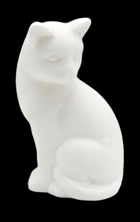 Gatinho Branco - Foto 5