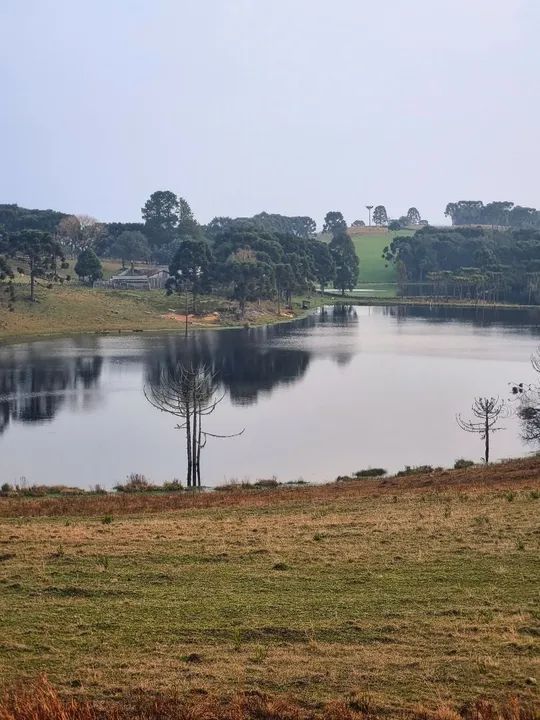 Sítio Chácara 33 hectares São Joaquim - Foto 3