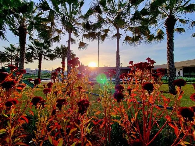 Super oportunidade lote de esquina com 372m² na Cidade Alpha - Foto 13