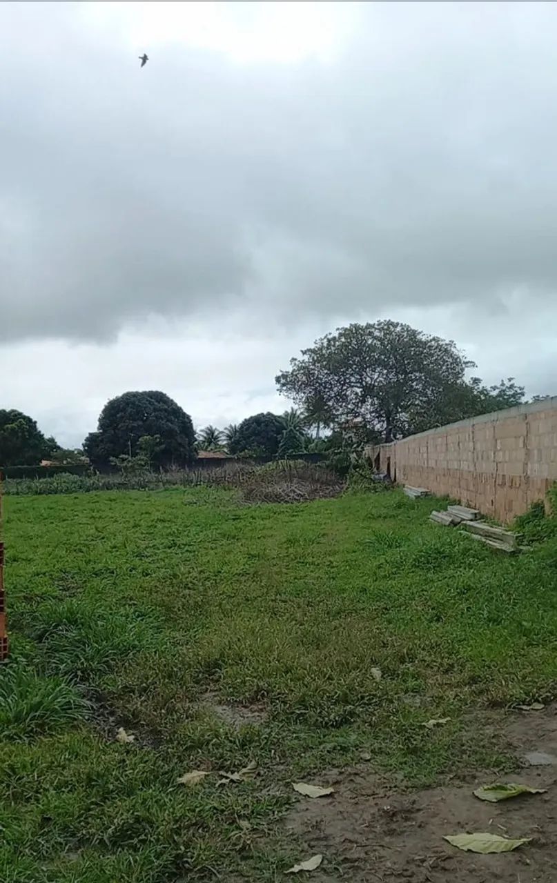 Foto - Nossa Senhora das Dores - 