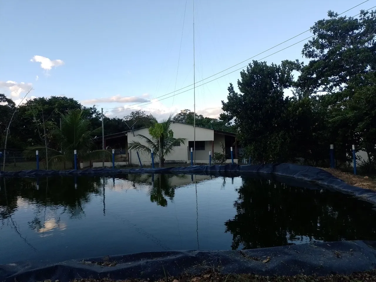 Fazendinha arrumada em Buritis MG (distrito de Passa Três)
