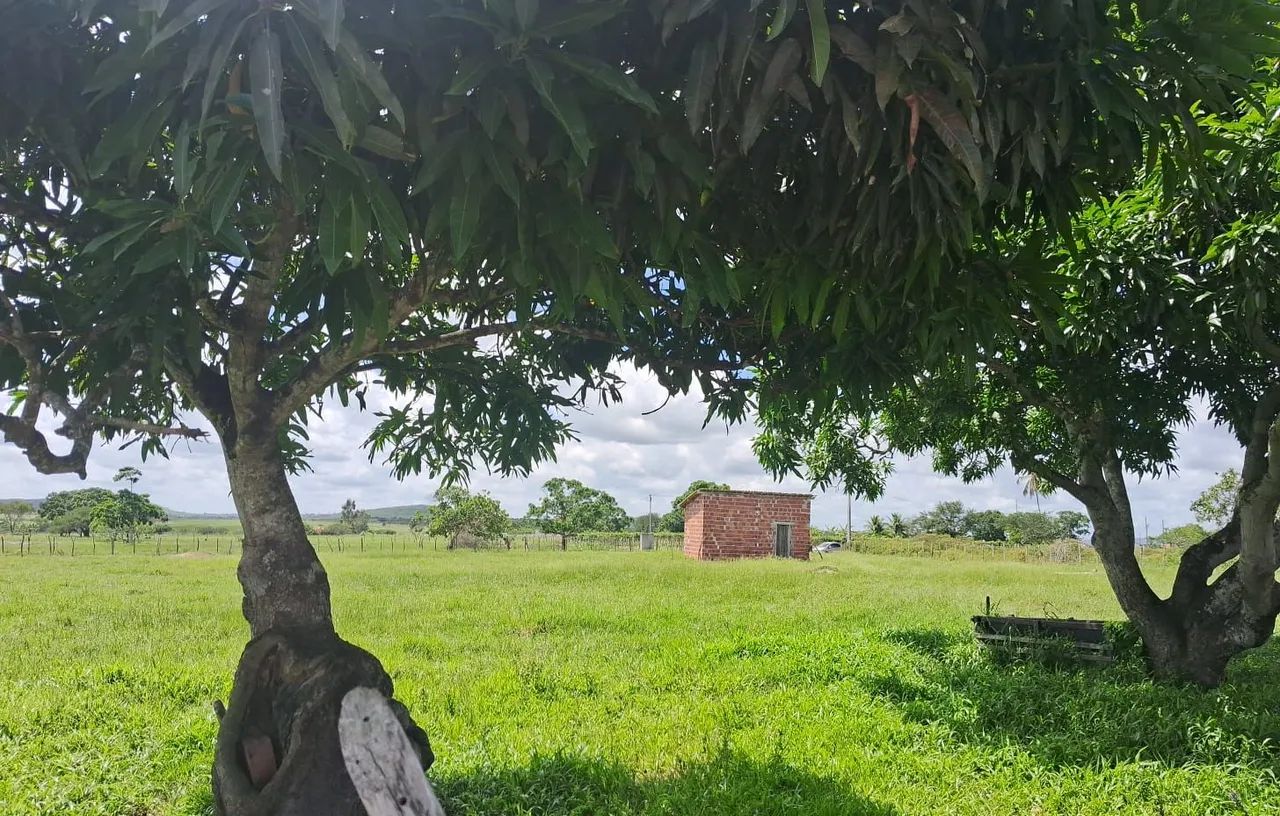 Vendo terreno no povoado campo do criolo lagarto se - Foto 3