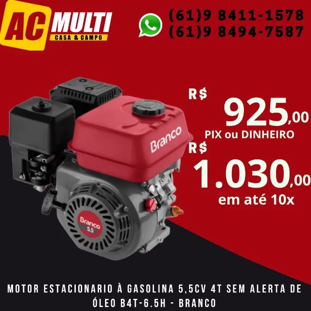 Motor estacionario à Gasolina 5,5CV 4T sem Alerta de Óleo B4T-6.5H - Branco