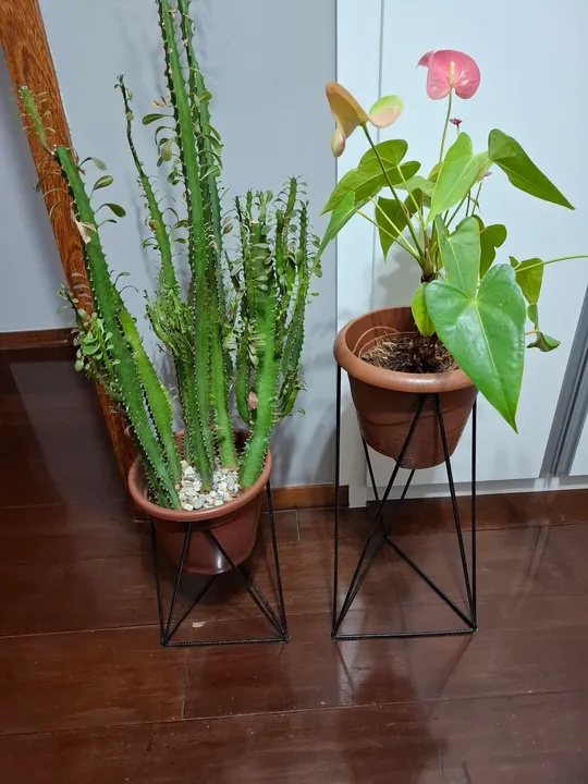 Dupla de suportes para vaso de plantas de ferro em formato geométrico