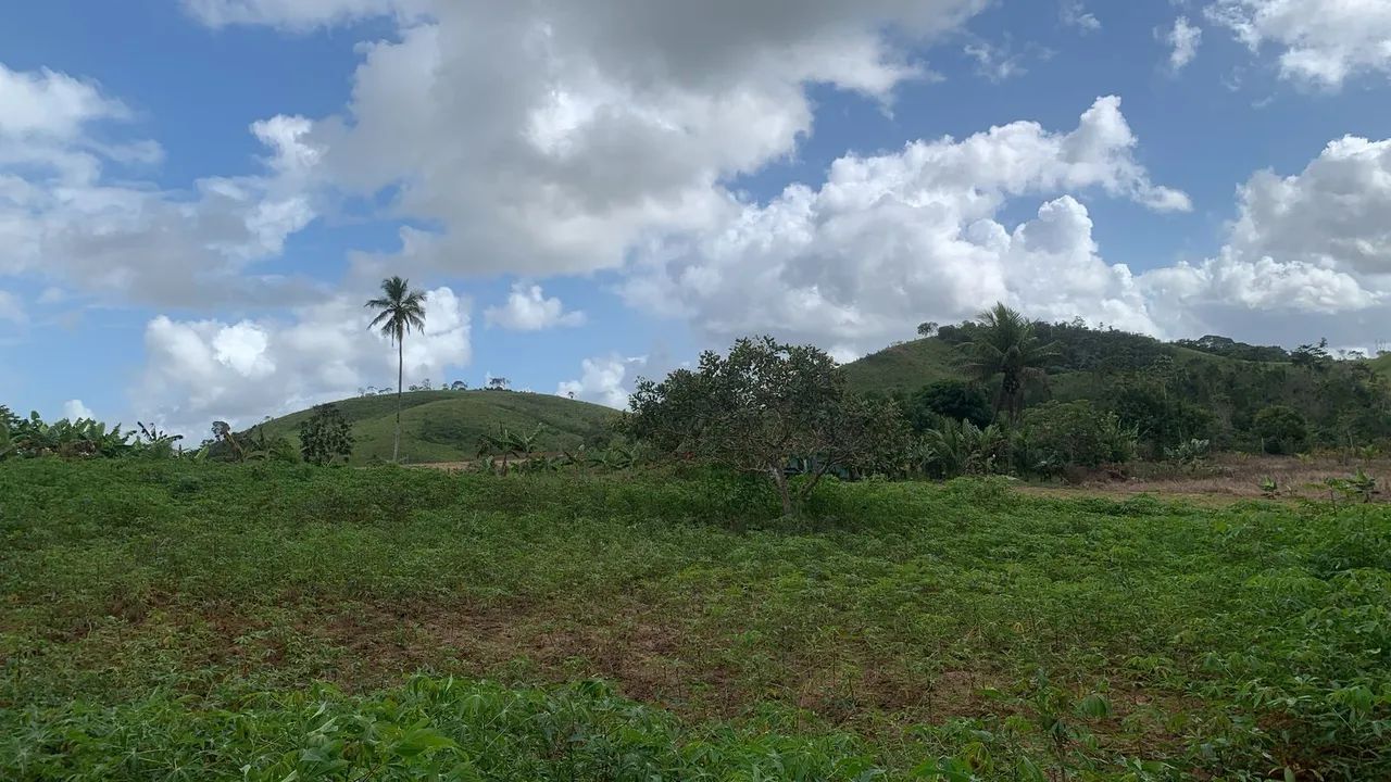 Sítio em catu com árvores frutíferas - Foto 3
