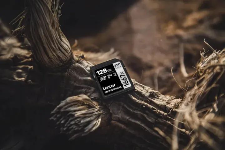 Cartão De Memória Lexar Professional 1667x SD 128 GB SDXC UHS-II - Foto 6