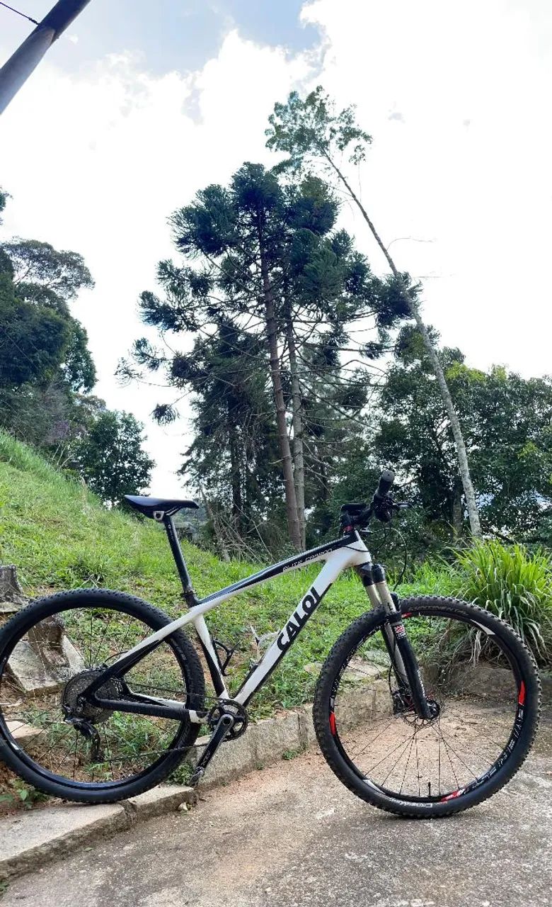  Caloi Elite Carbon 