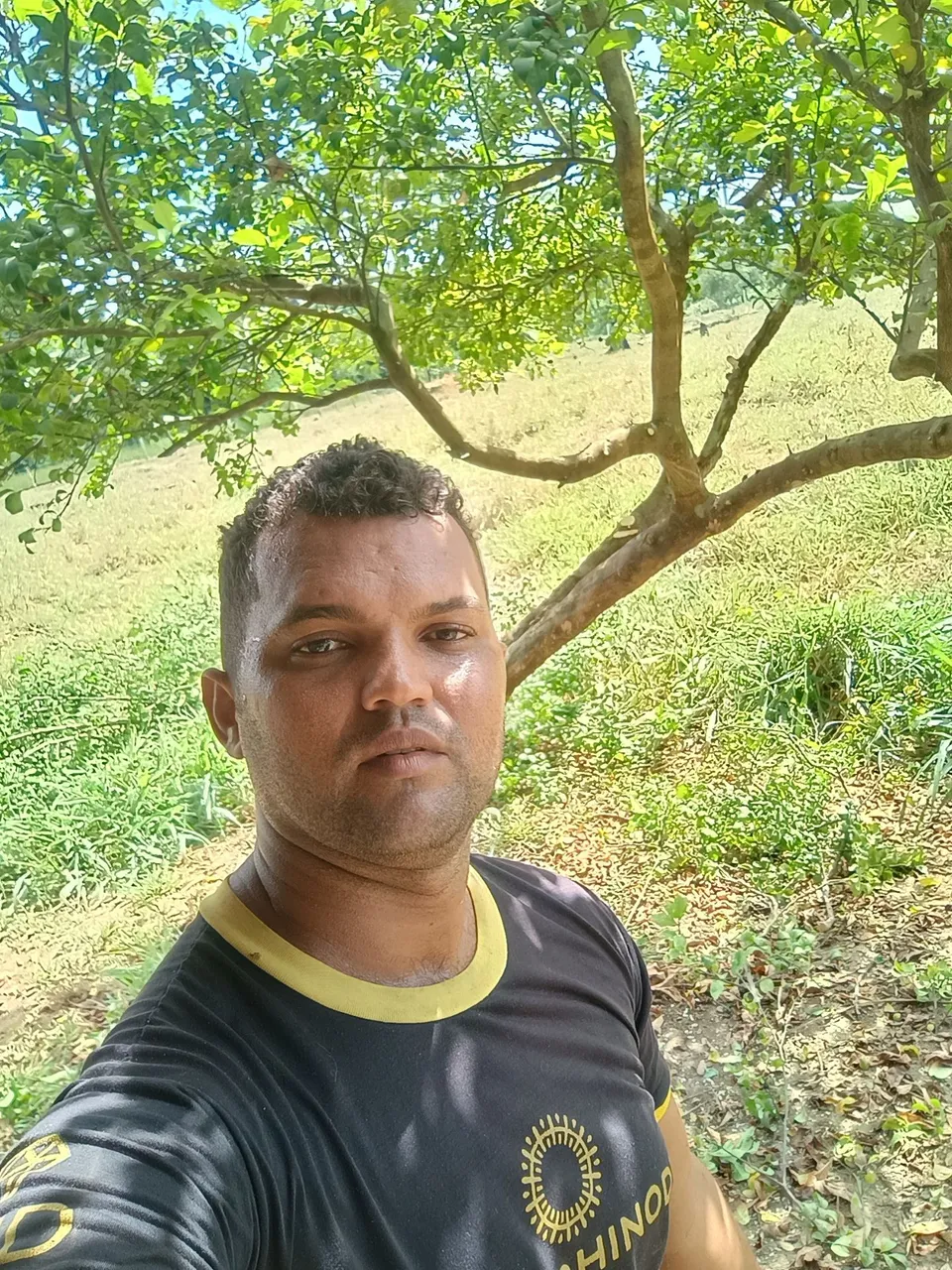 Corto e podor árvore e retiro os galhos