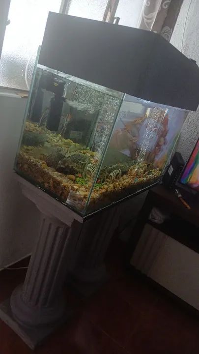 Aquário de 160 litros