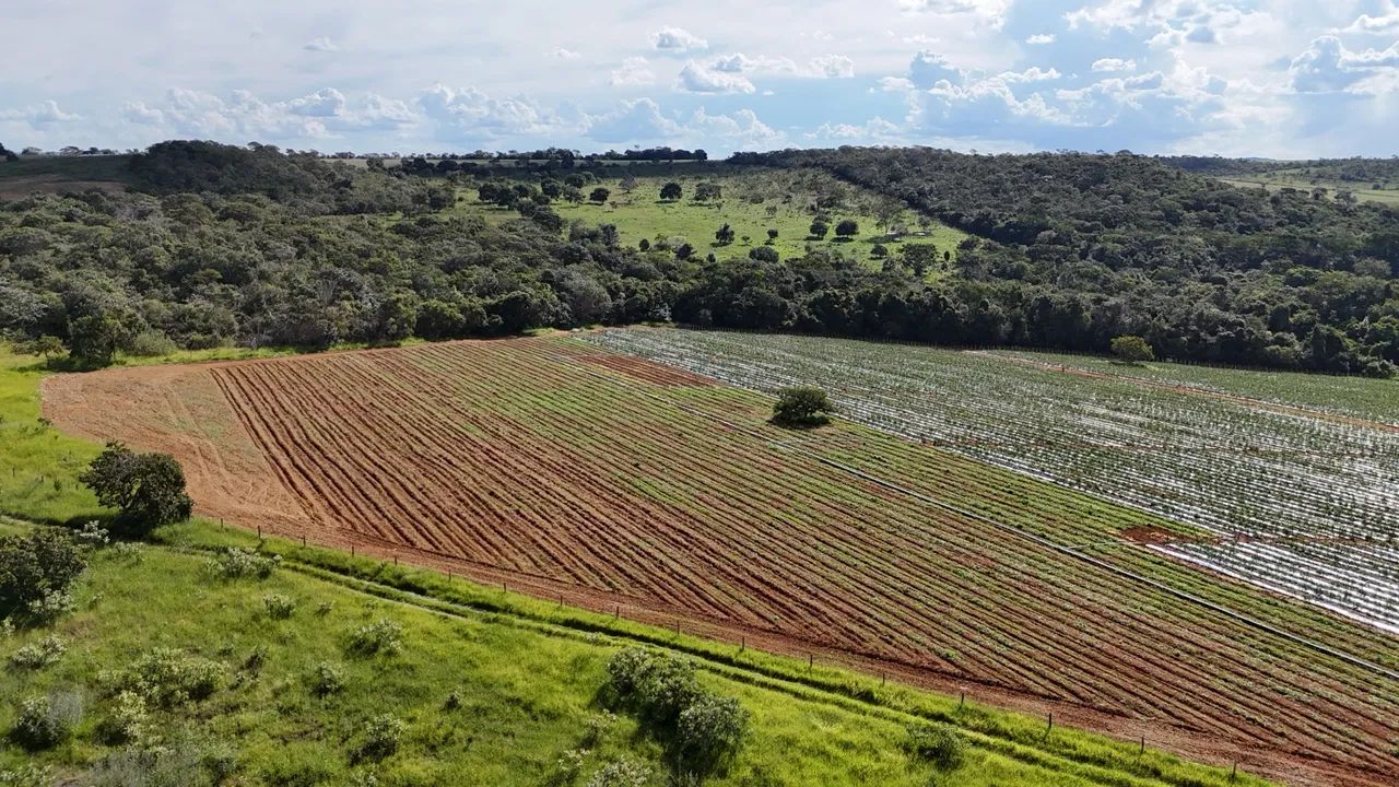 Chácara de 5.22 alqueires Corumbá de Goiás  - Foto 4