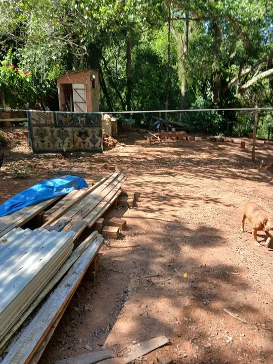 Sítio com pomar e casa sede - Foto 10