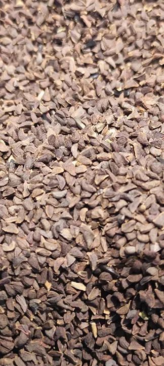 350 Sementes de Arruda "Harmal4" - Foto 4