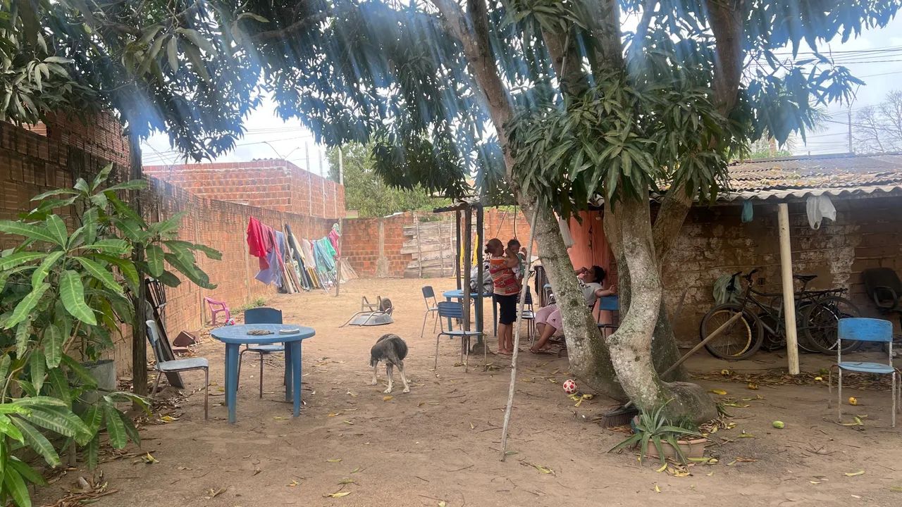Terreno com árvores frutíferas - Foto 5