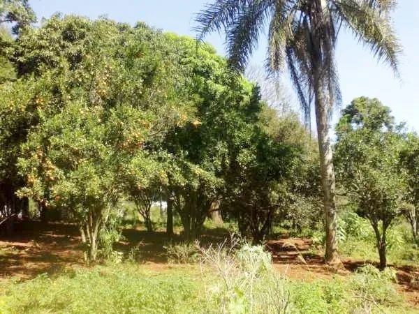 TERRENO DE 48.400m² na Rua Guido Spoladore, Gleba Lindóia, Londrina/PR - Foto 3