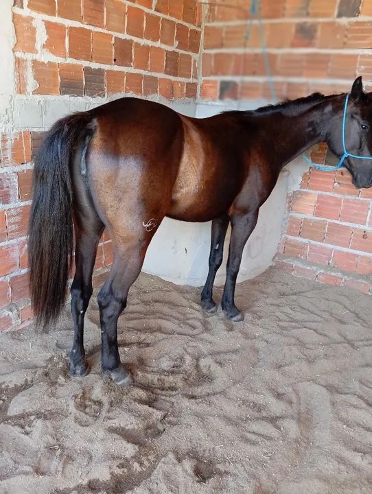 Só entro em contato se tiver interesse - Foto 2