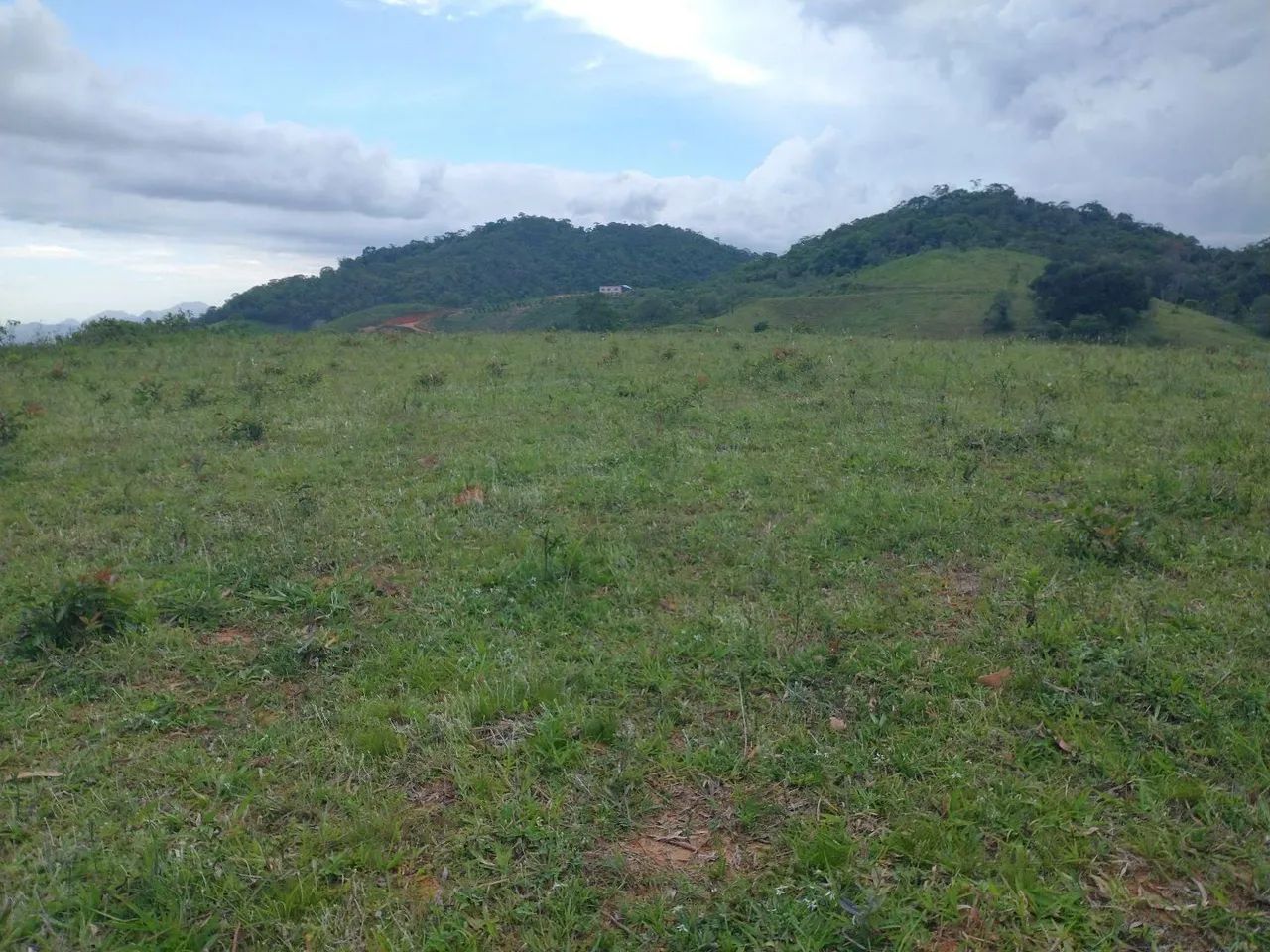 Fazendinha 15 Alqueires Cariacica  - Foto 15