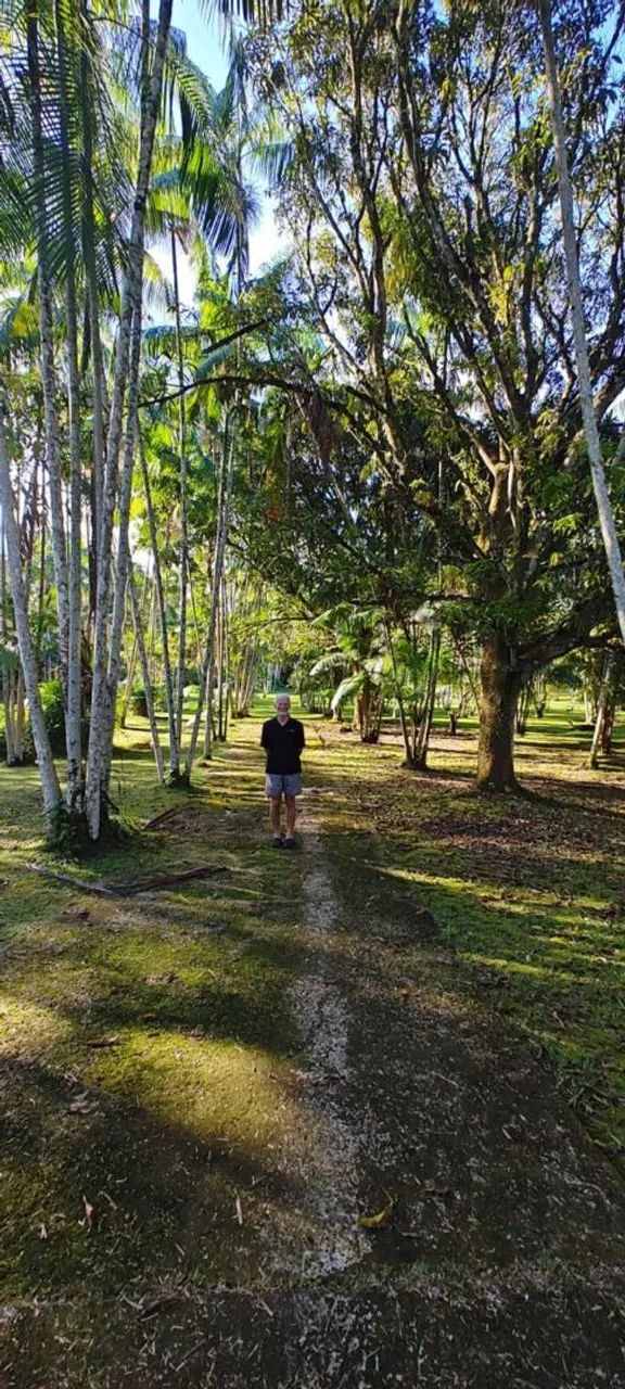 Vendo Excelente Sítio em Benevides - Foto 15