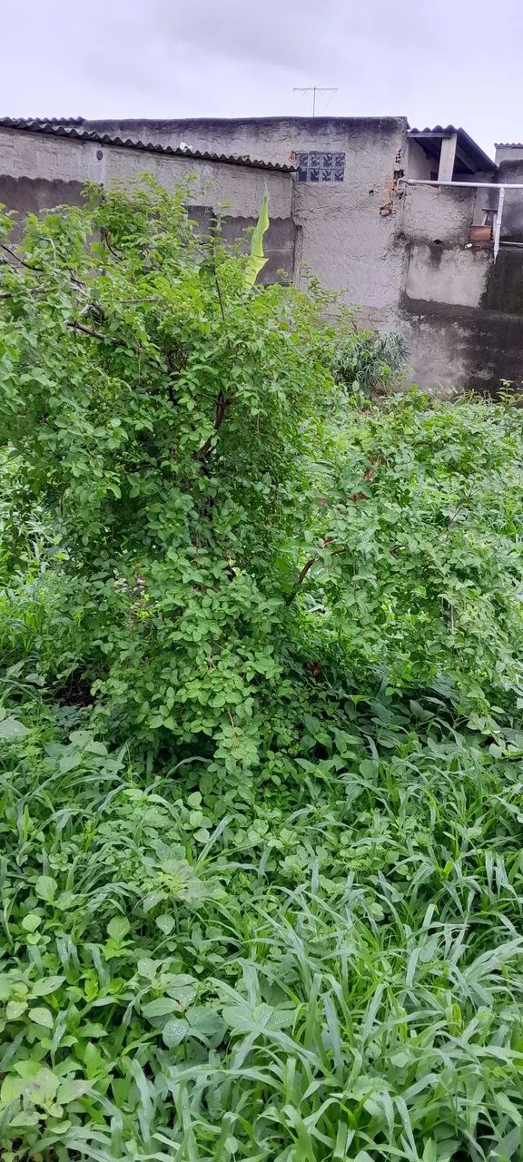 Terreno em area  rural 
