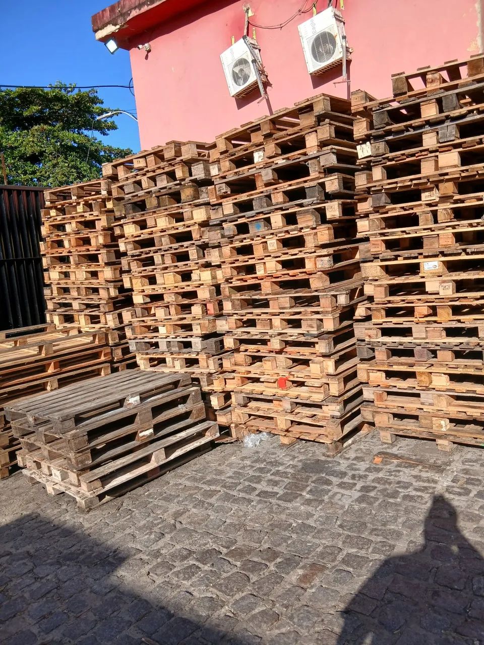 Paletes descartável 