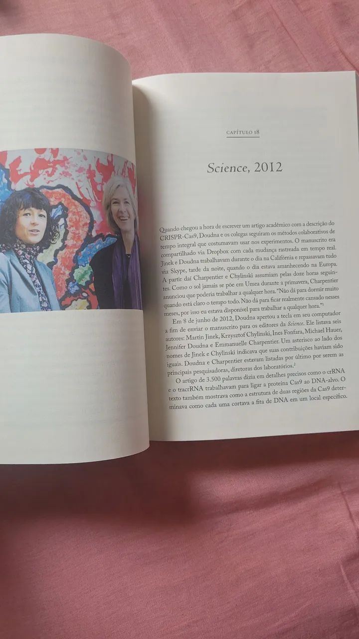 Livro A Decodificadora - Foto 3