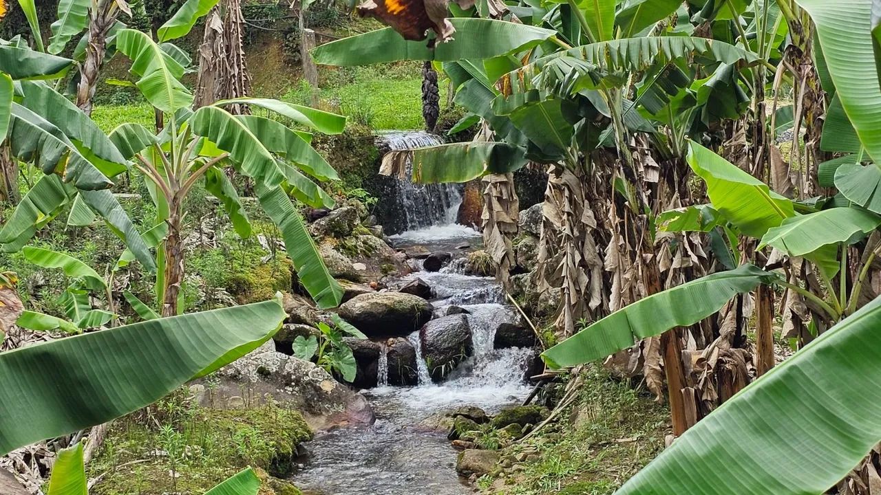 Sítio com cachoeira