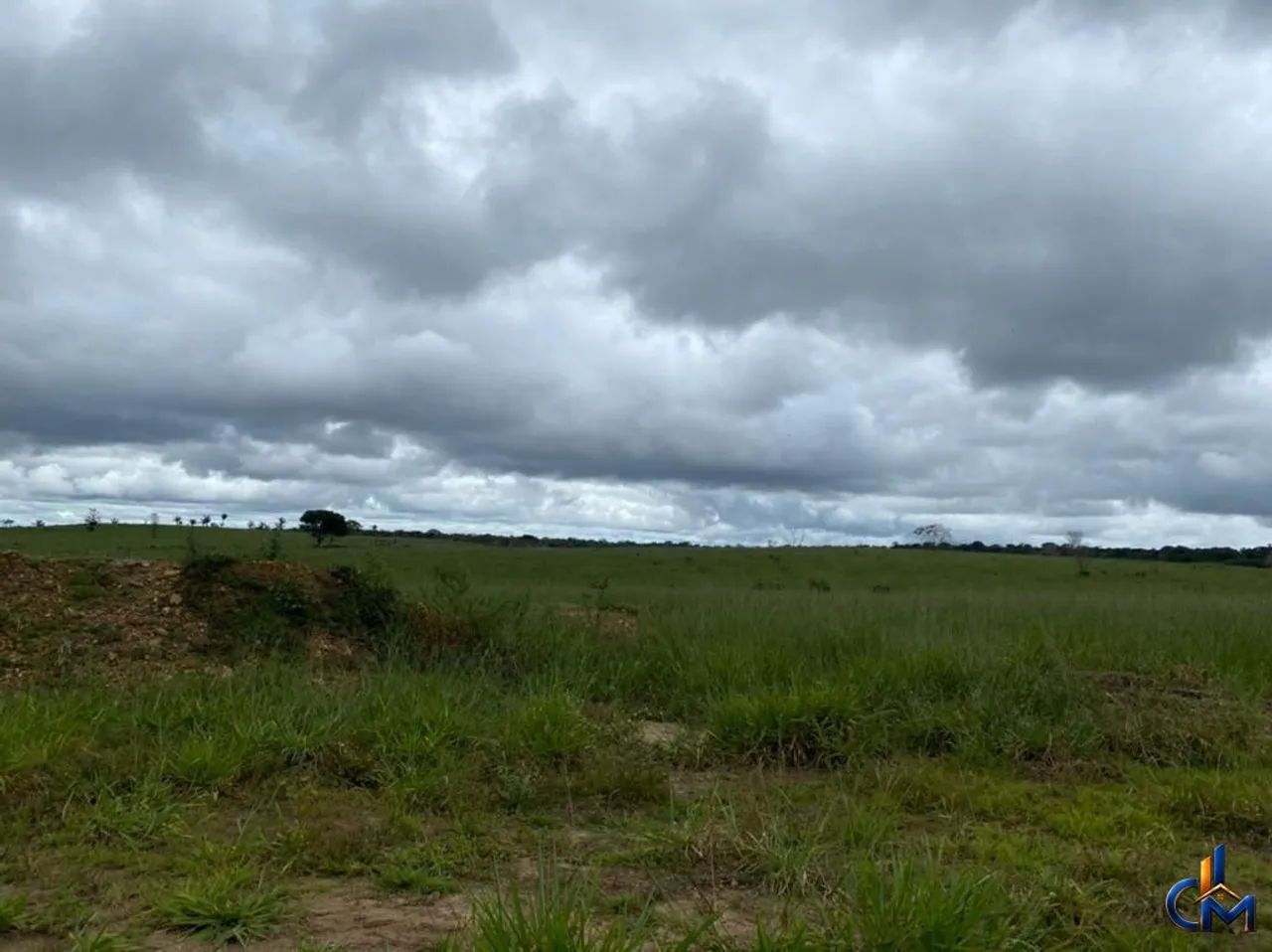 Fazenda Modelo Sena Madureira - Foto 4