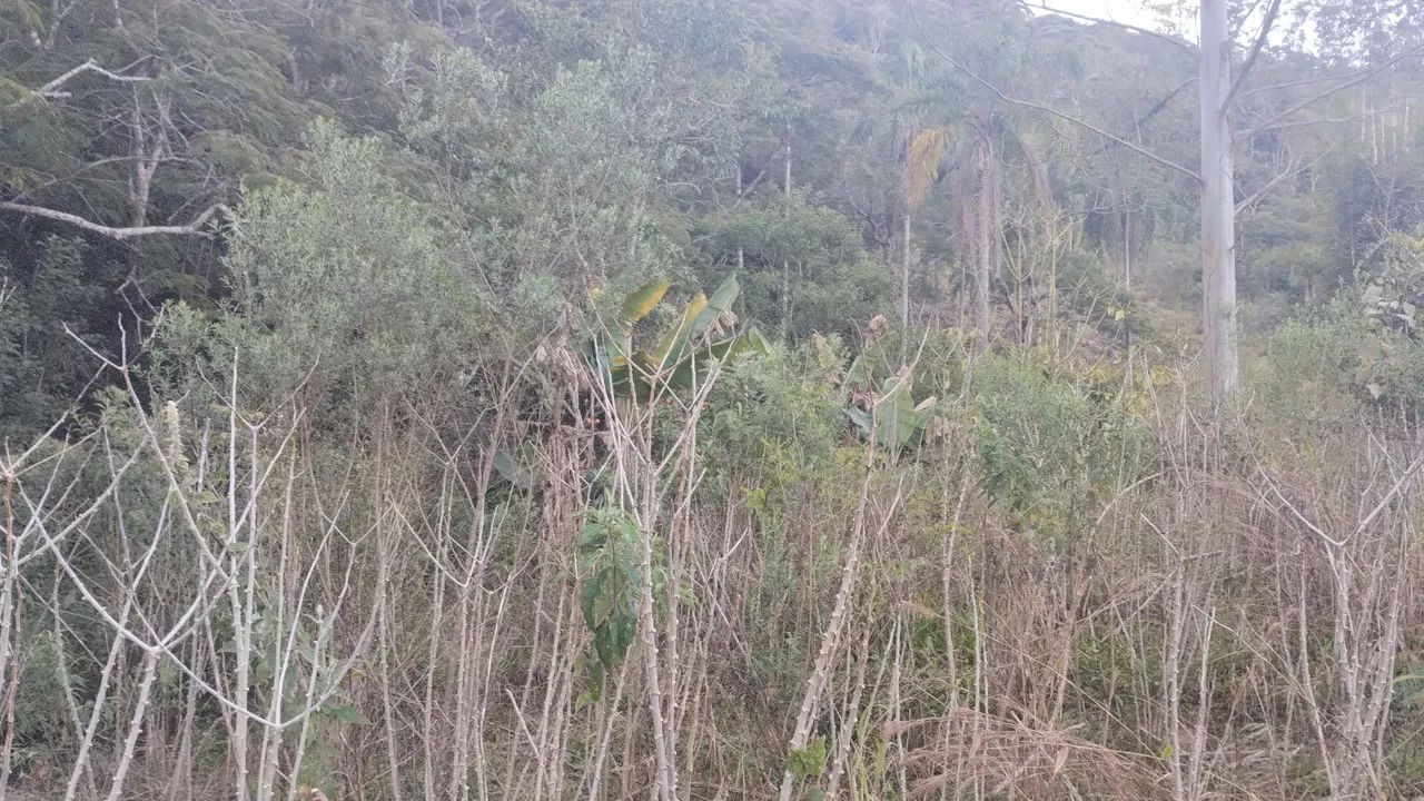 Terreno interior de s.p - Foto 4