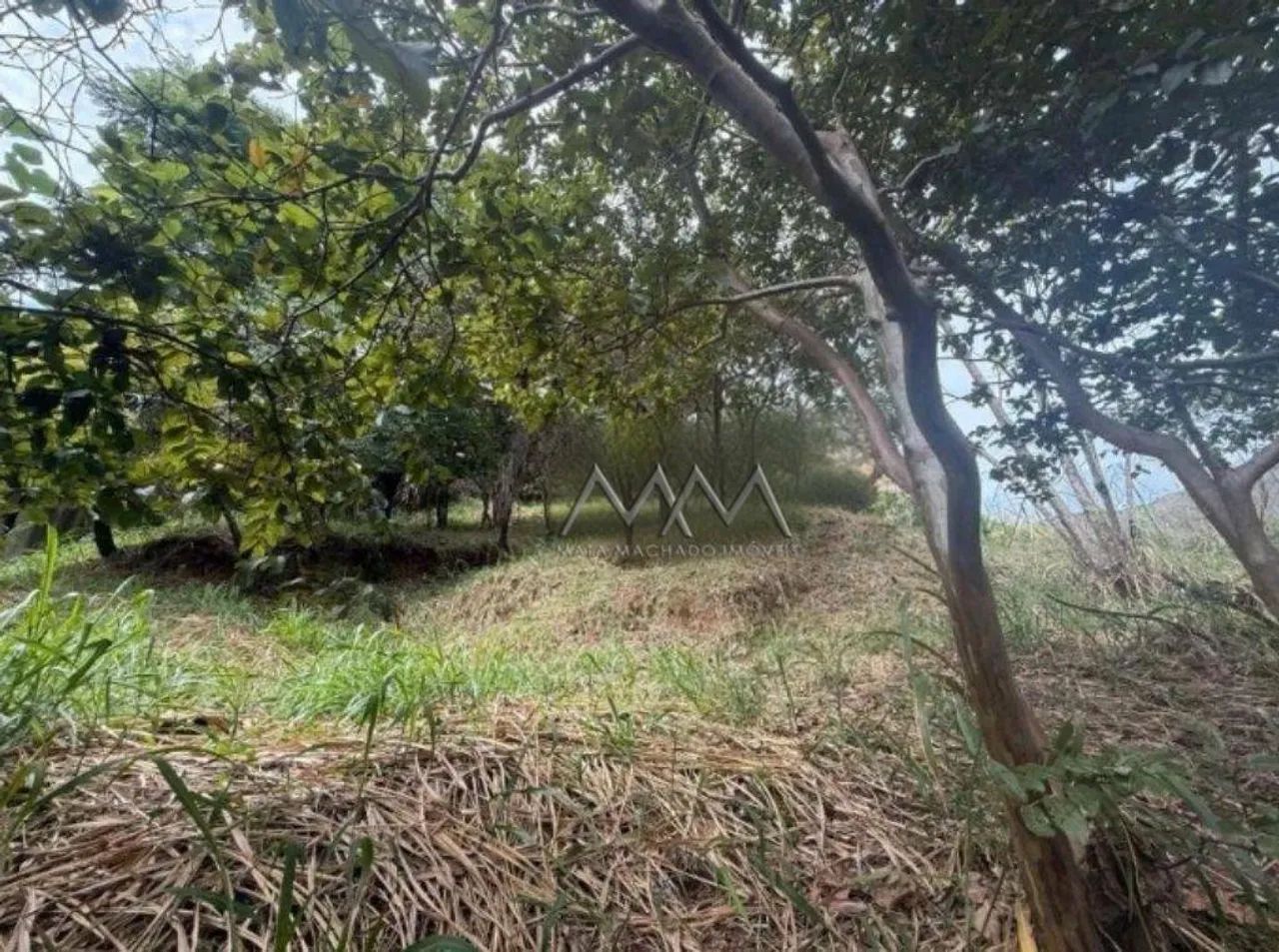 Lote à Venda no Mangabeiras | 795 m² - Foto 5