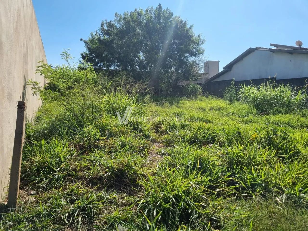 terreno - Parque dos Pomares - Campinas - Foto 2