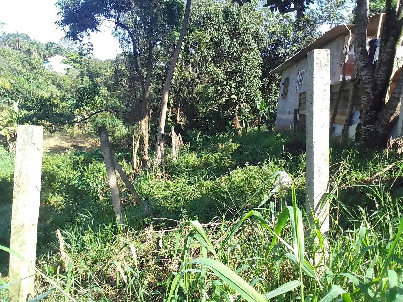 Venda 